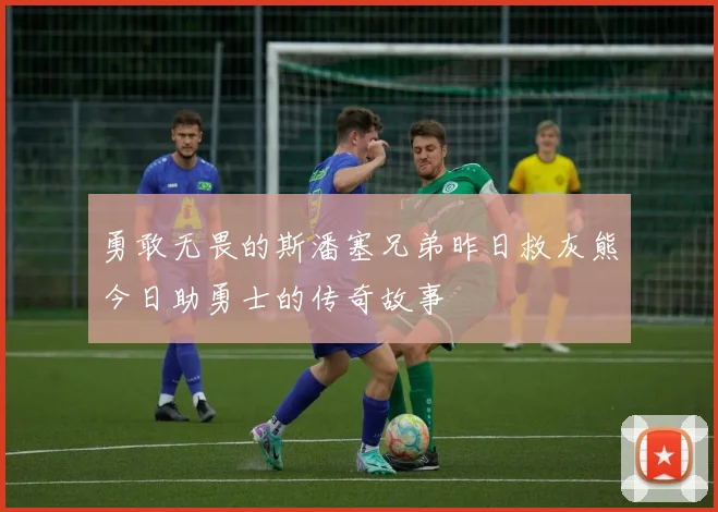 勇敢无畏的斯潘塞兄弟昨日救灰熊今日助勇士的传奇故事