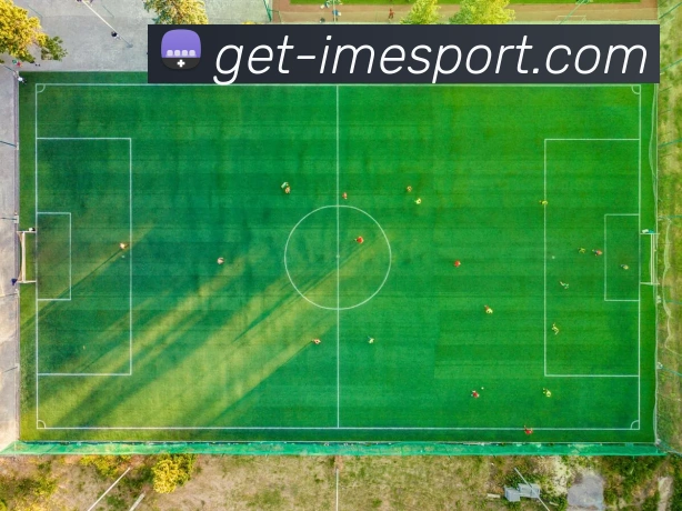 IM电竞APP 封面图